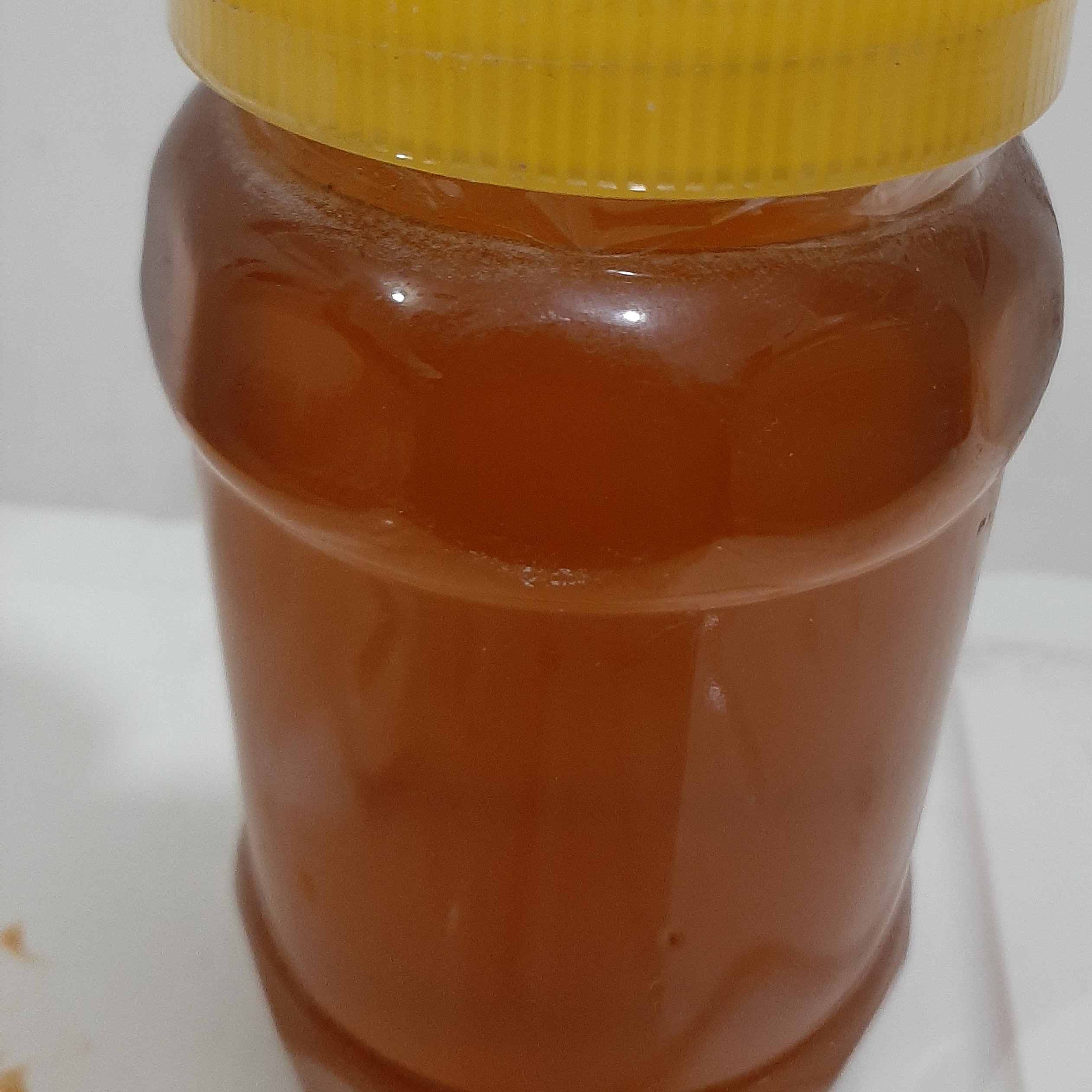 عسل اوکالیپتوس 500 گرمی