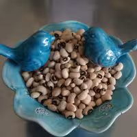 لوبیا چشم بلبلی محلی دهاتی کالا - 500 گرمی