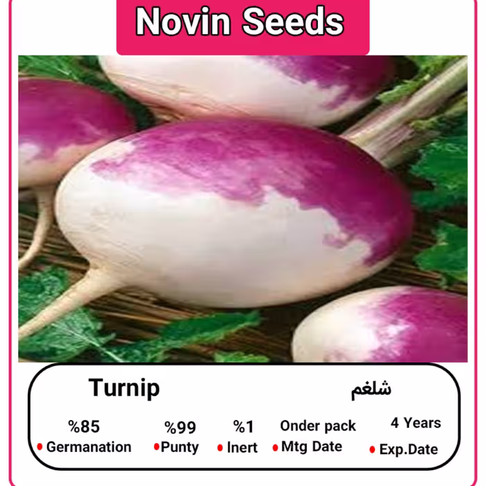 بذر شلغم (100 گرمی)