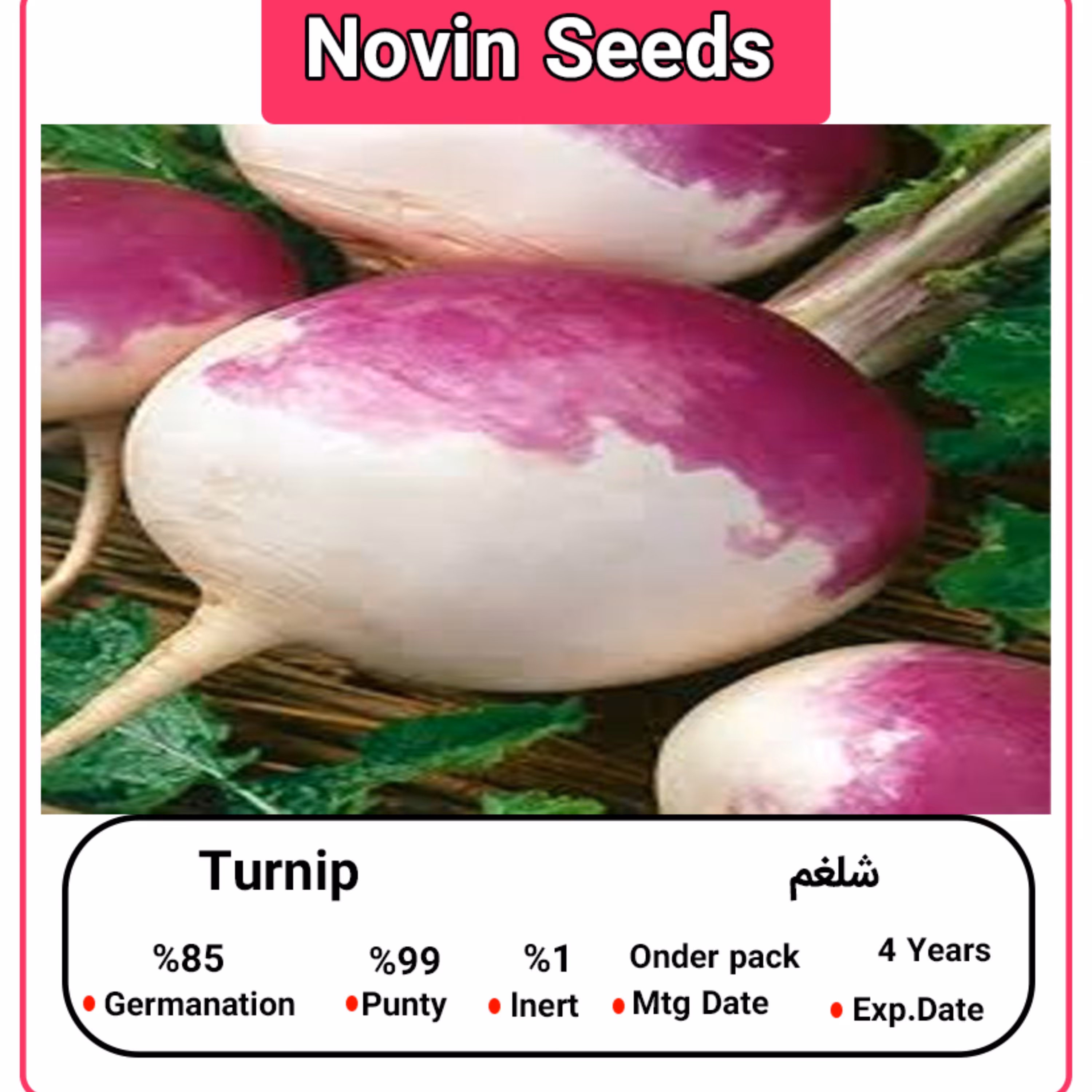 بذر شلغم (100 گرمی)