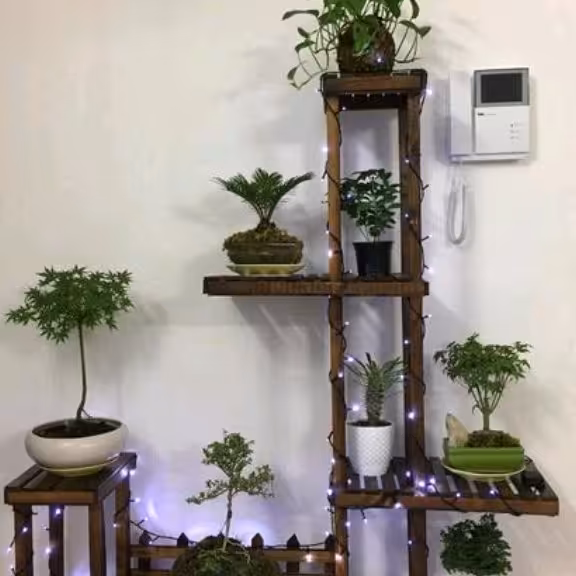 استند گل