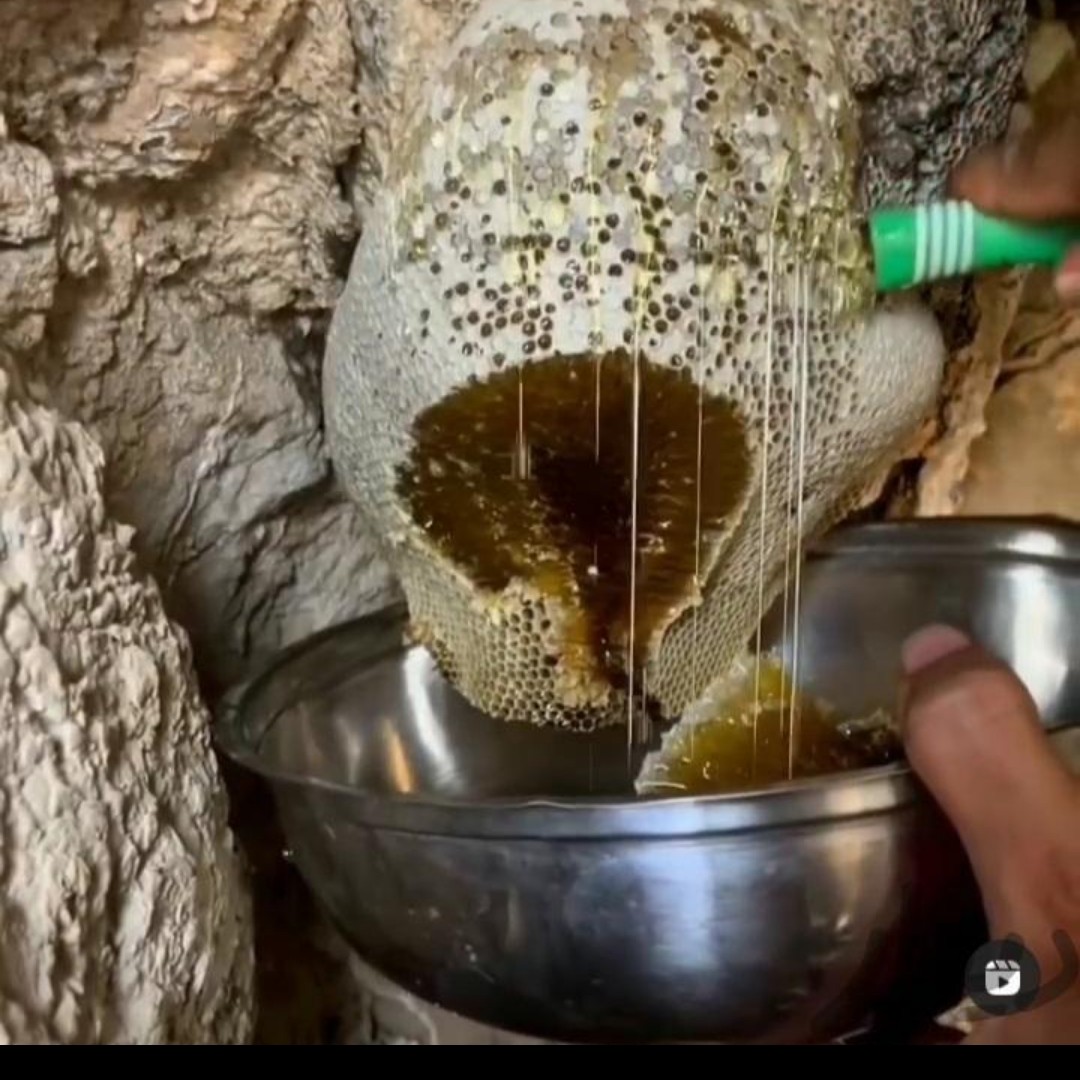 عسل وحشی و طبیعی رشته کوه زاگرس بسته 1 کیلویی