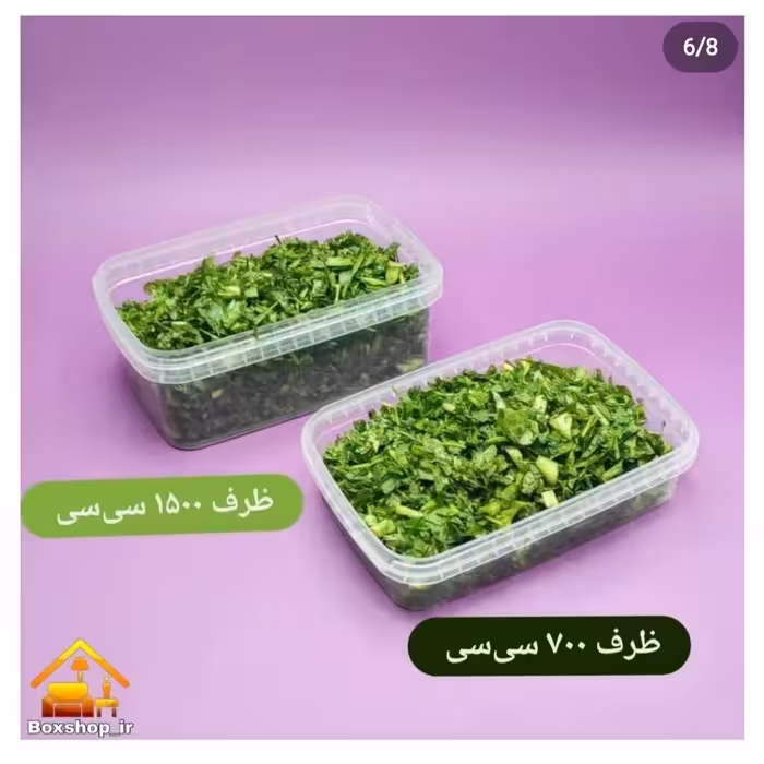 ظرف فریزری مایکروفری 700سی سی