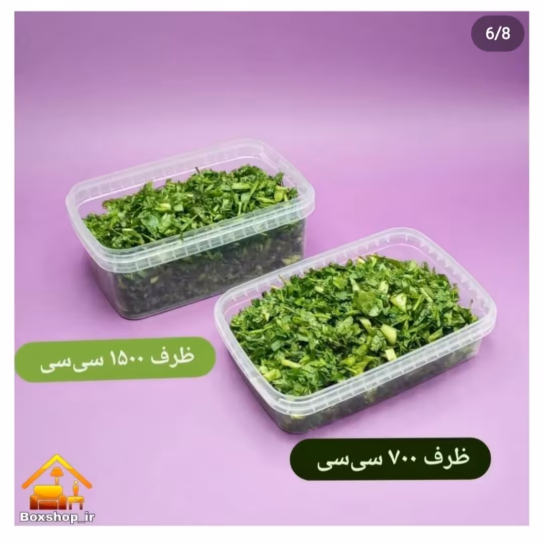 ظرف فریزری مایکروفری 700سی سی