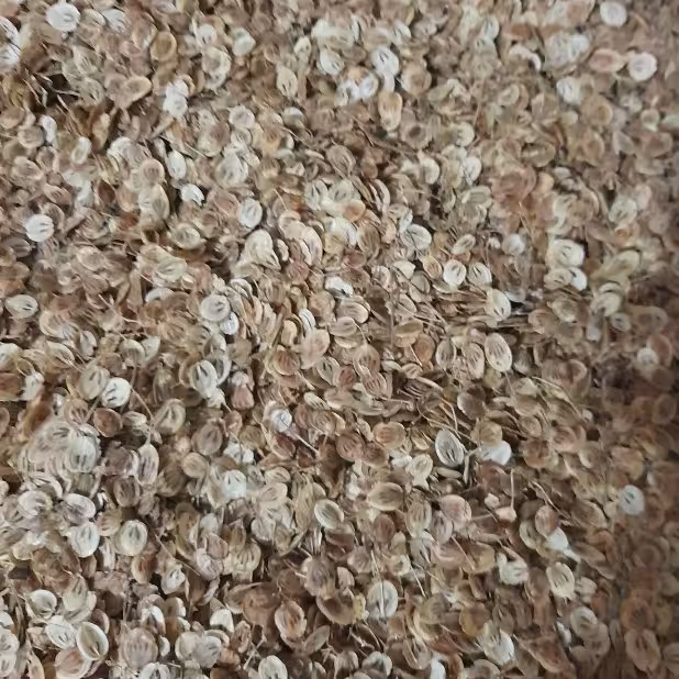 گلپر کوهی (100گرمی)