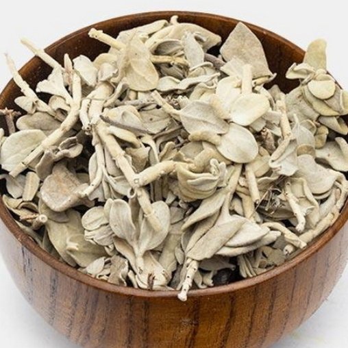 گیاه پولکی 100 گرم . رفع عفونت داخلی زنان . سرما خوردگی. آسم .سینوزیت 