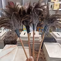 گردگیر پر شتر مرغ یک عدد