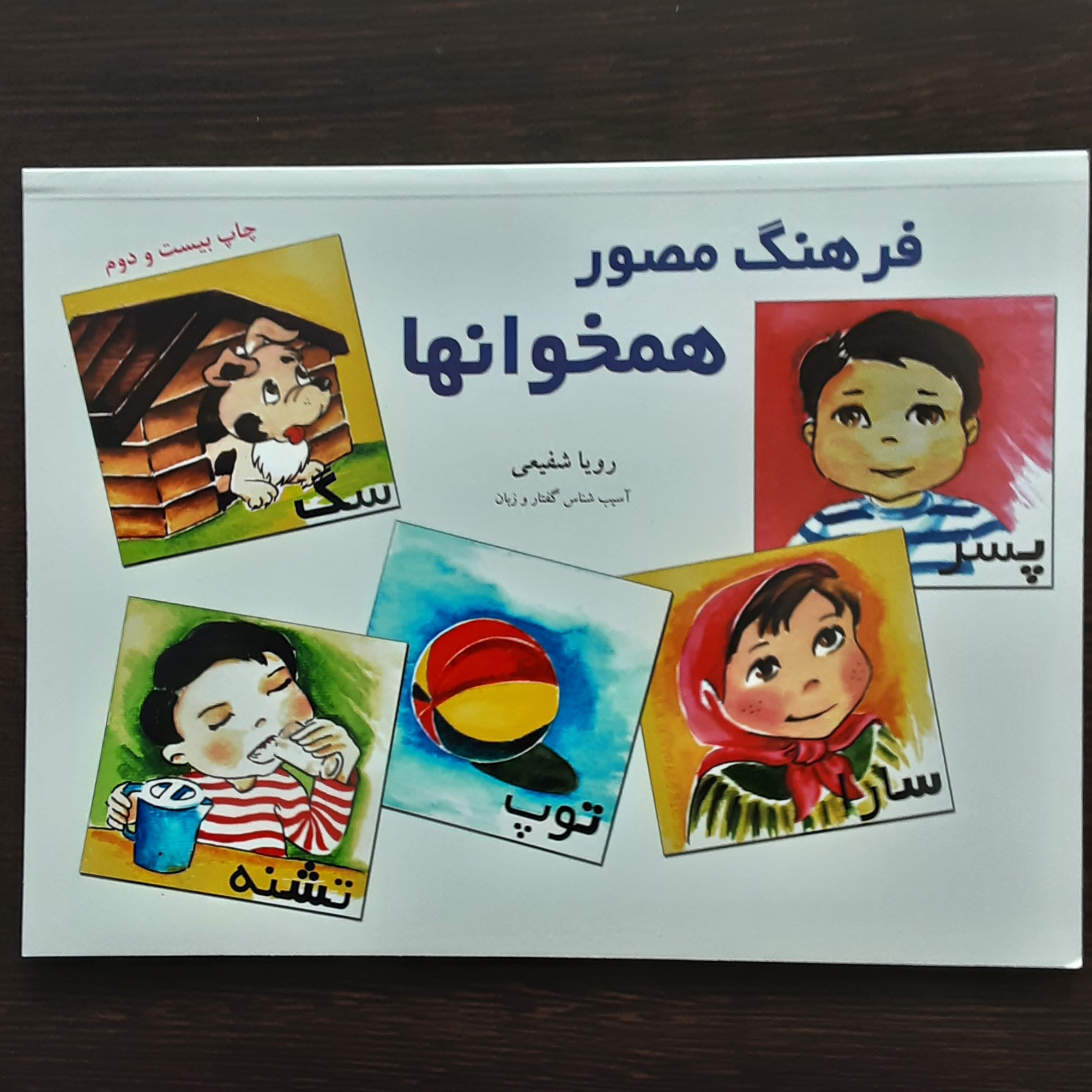 کتاب فرهنگ مصور همخوانها رویا شفیعی