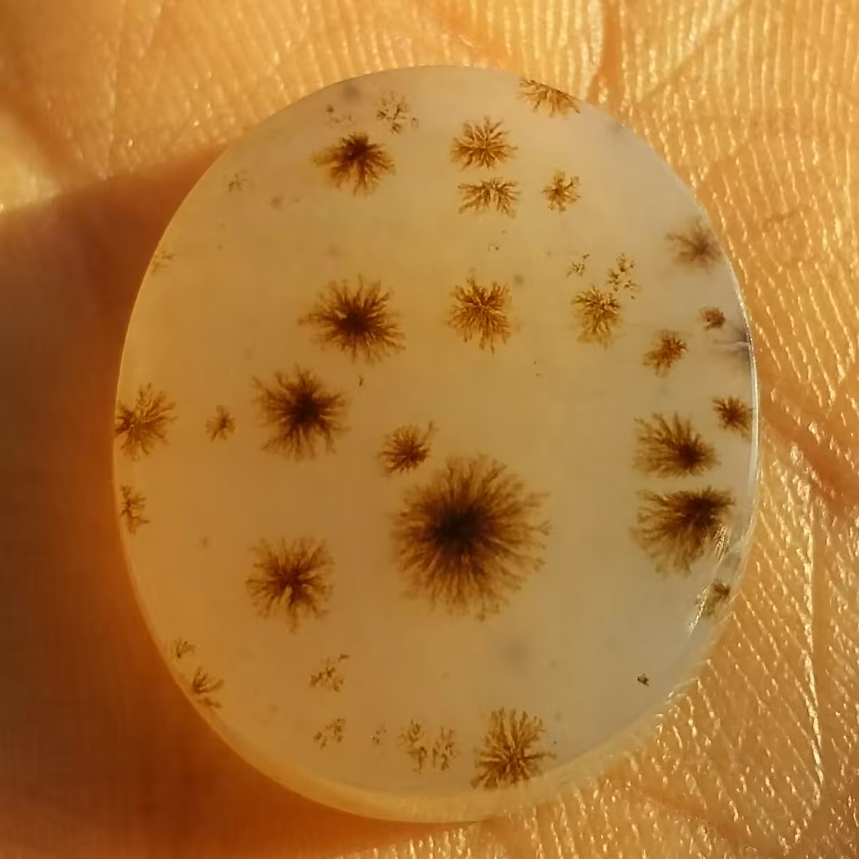 نگین عقیق شجر قاصدکی شااهکار خلقت محشر بی نظیییر
سایز درشت مدالی
100 در 100 طبیعی دیدنی

