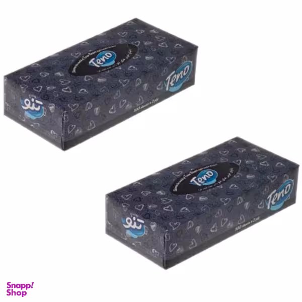 دستمال کاغذی 100 برگ تنو مدل a0055 بسته دو عددی