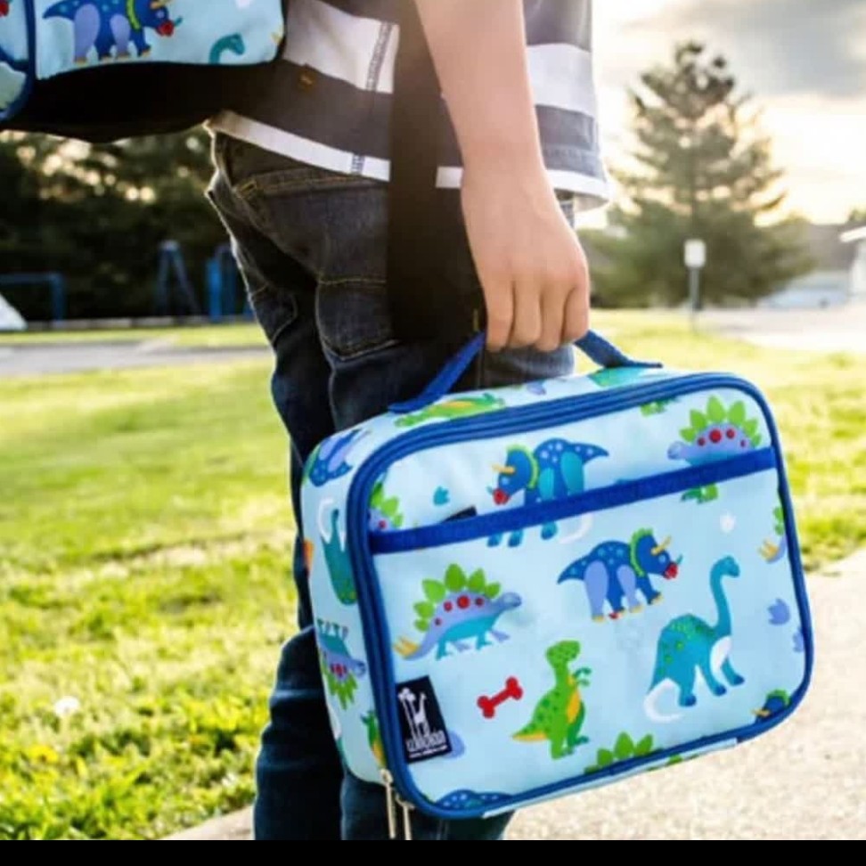 لانچ باکس مخصوص نگهداری غذا  داخل عایق کشی شده مخصوص کودکان 