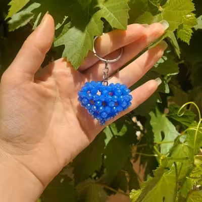 جاسوئیچی قلب سه بعدی