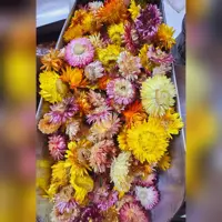 گل مینا اصل و درجه یک 100 گرم 