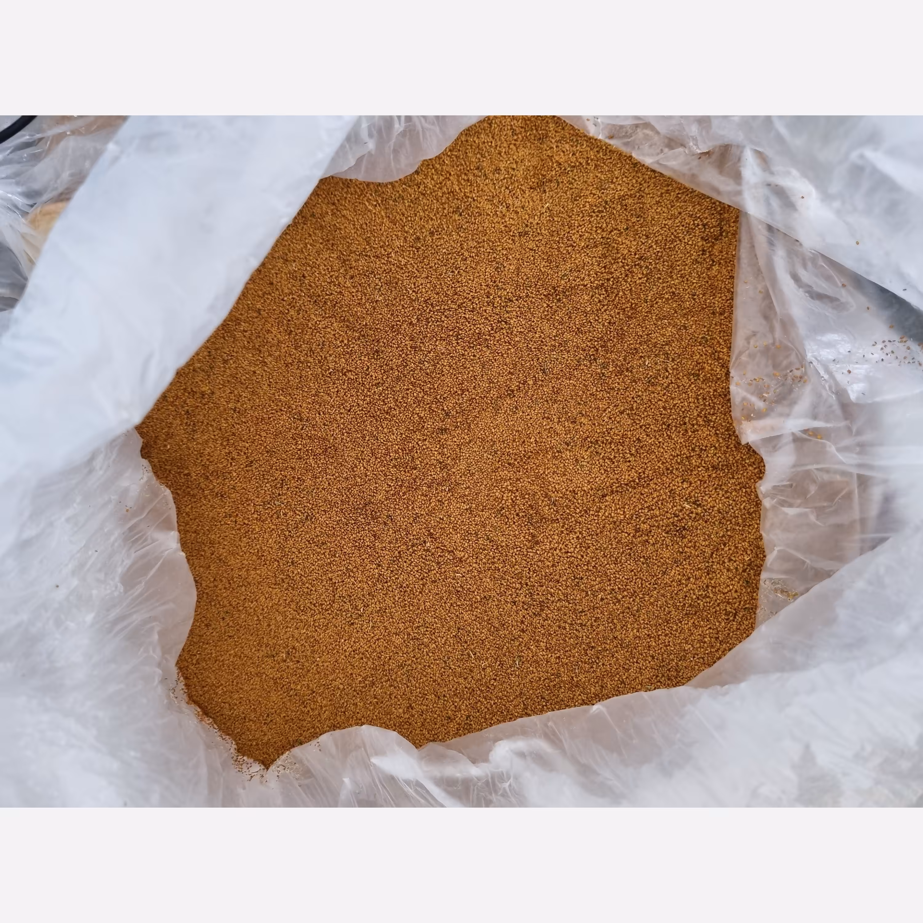 خاکشیر خراسان جنوبی نیم کیلویی