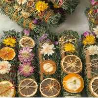 اسماج گیاهی کاملا طبیعی