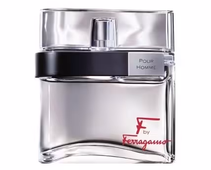 Salvatore Ferragamo F by Ferragamo Pour Homme اف بای فراگامو مردانه