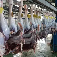 گوشت فیله شترمرغ
