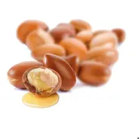 روغن آرگان مراکش لیتری محصولات طبیعی زیتون
