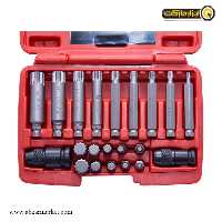 ست سر پیچ گوشتی داناپلاس هزار خار 21 عددی مدل D3941221