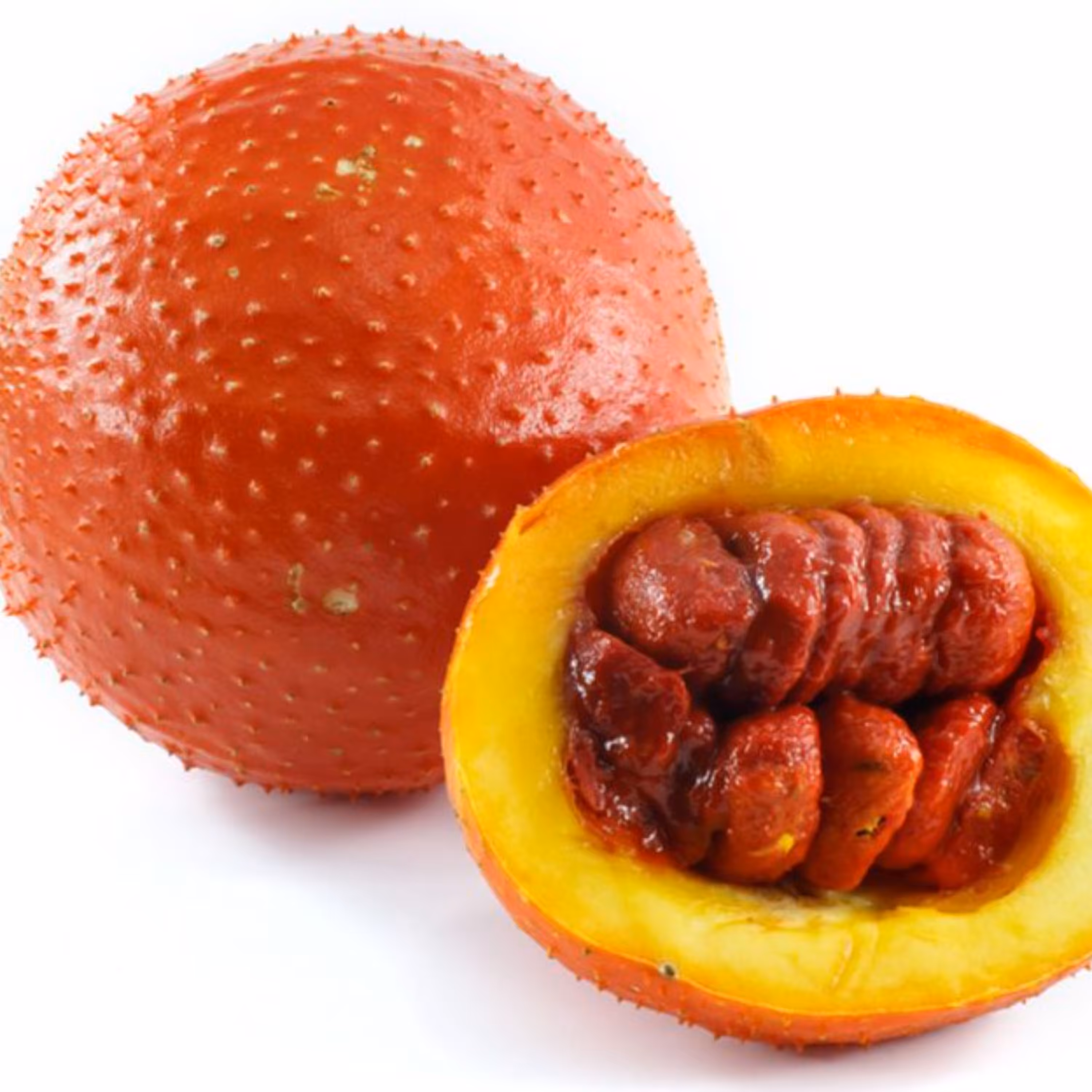 بذر میوه گاک بسته 2 عددی