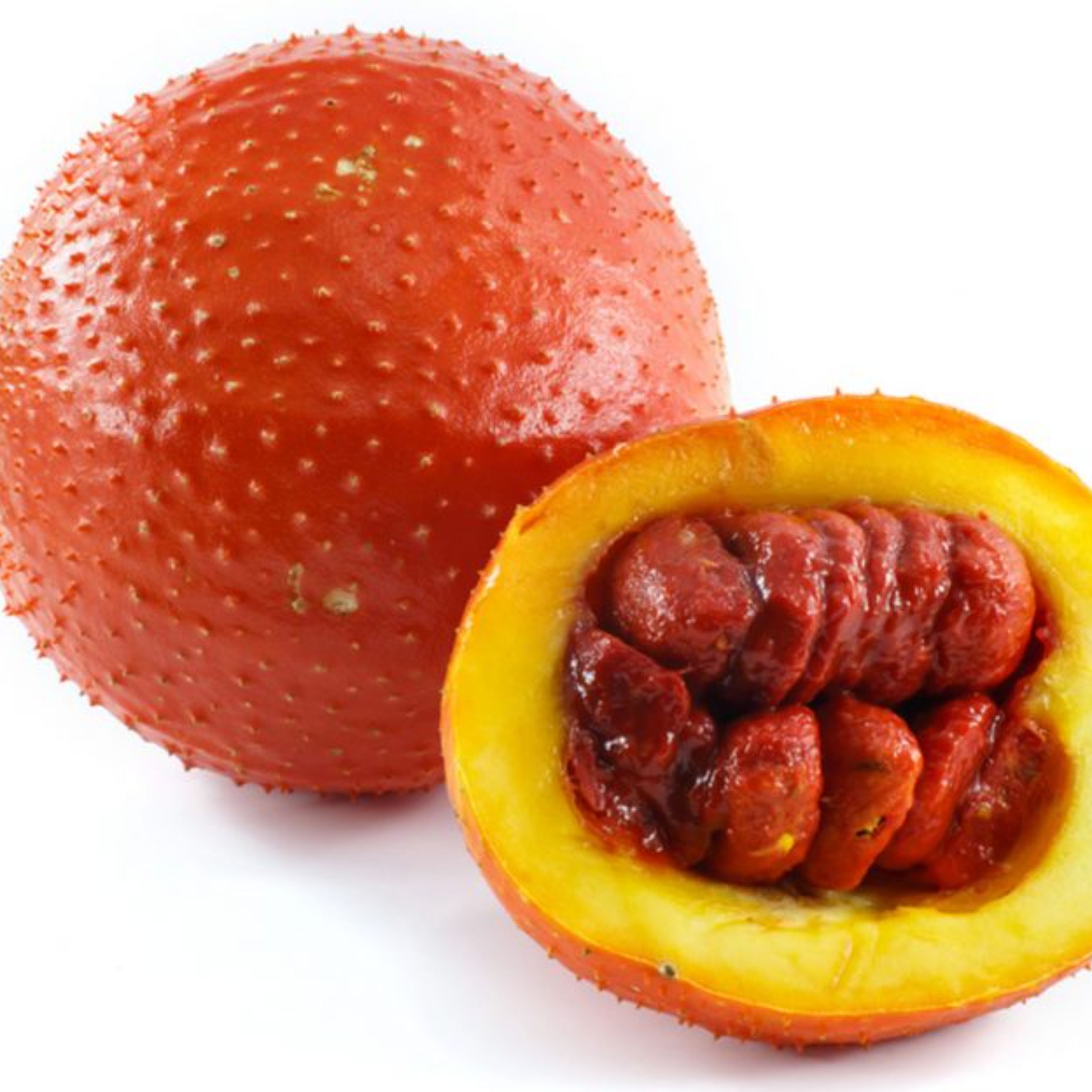 بذر میوه گاک بسته 2 عددی