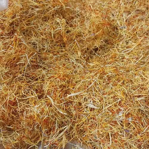 ریشه زعفران ارسال به سراسر کشور