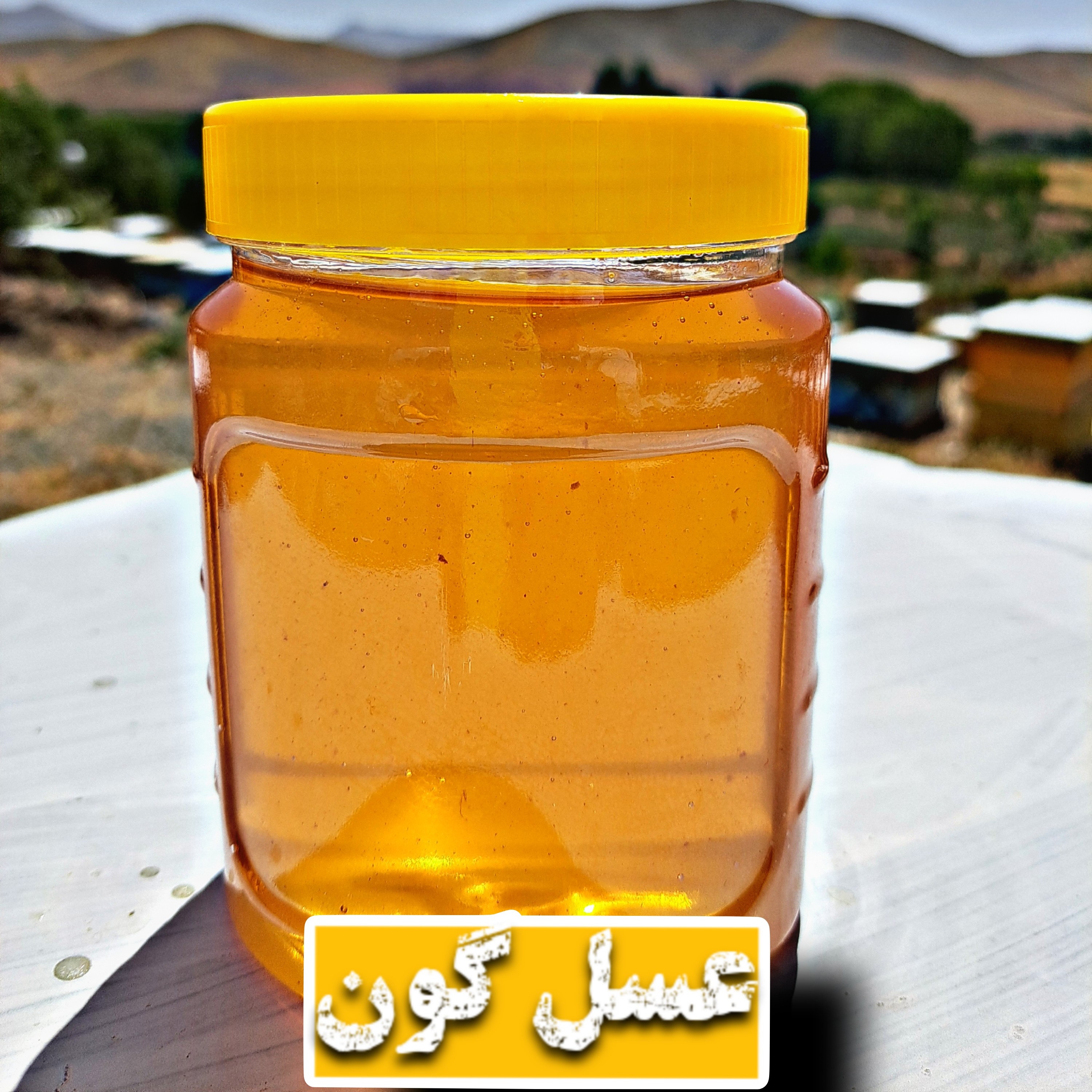 عسل گون (1کیلو گرم)