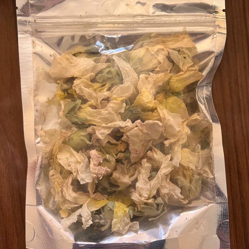 گل ختمی سفید