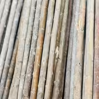  چوب پرچم و لوله پرچم