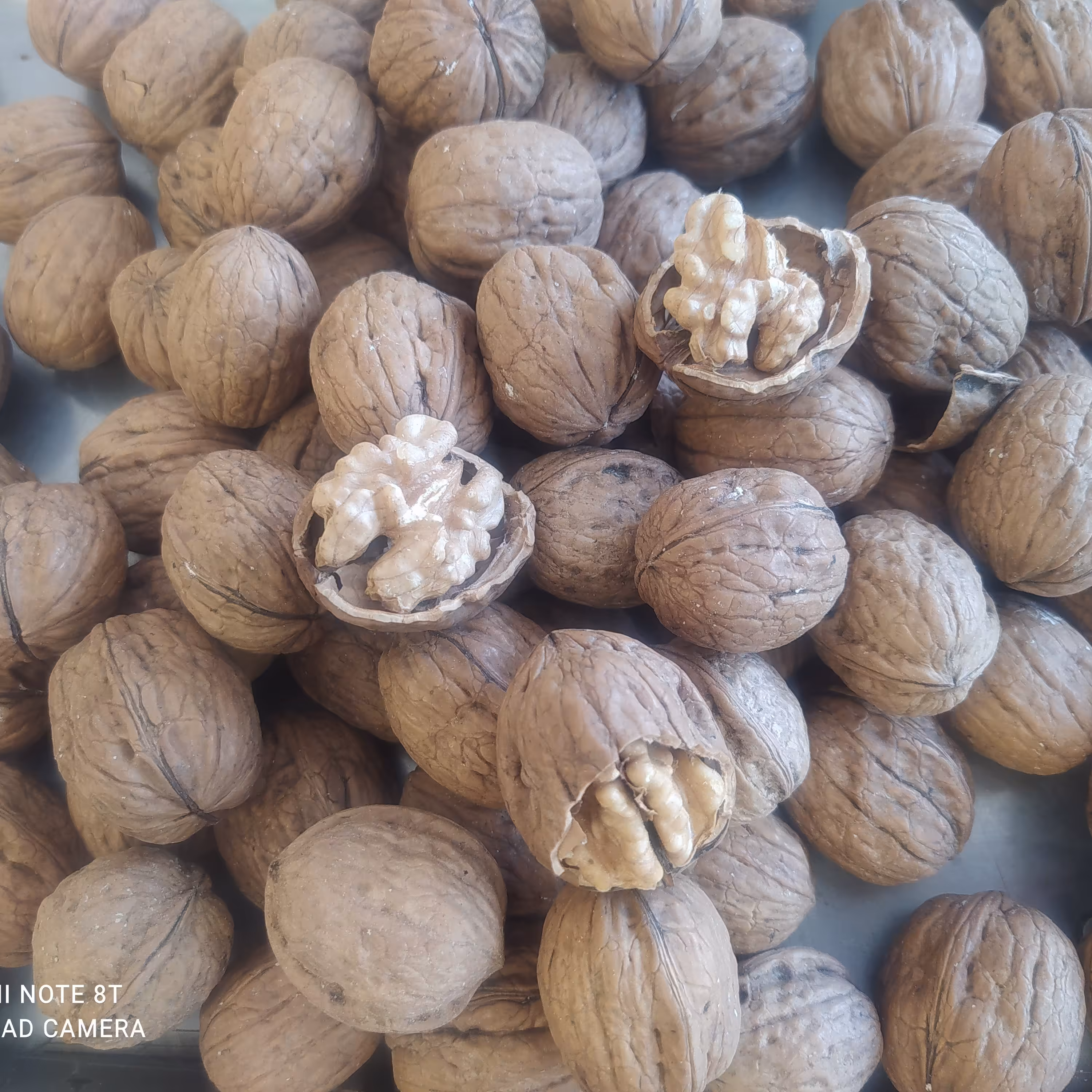 گردو ایرانی پوست کاغذی