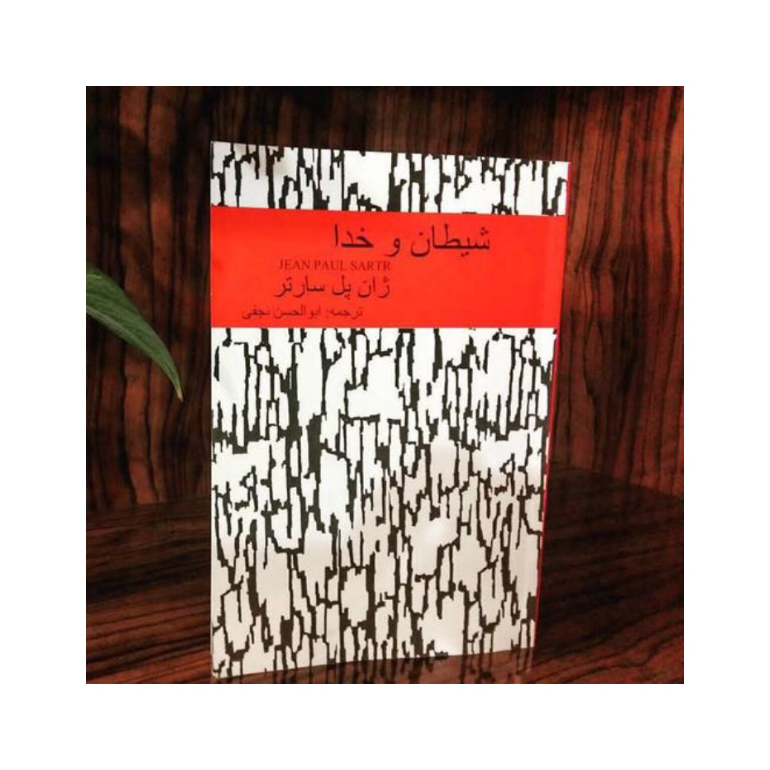 کتاب شیطان و خدا