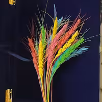 گندم های رنگی 10 عددی