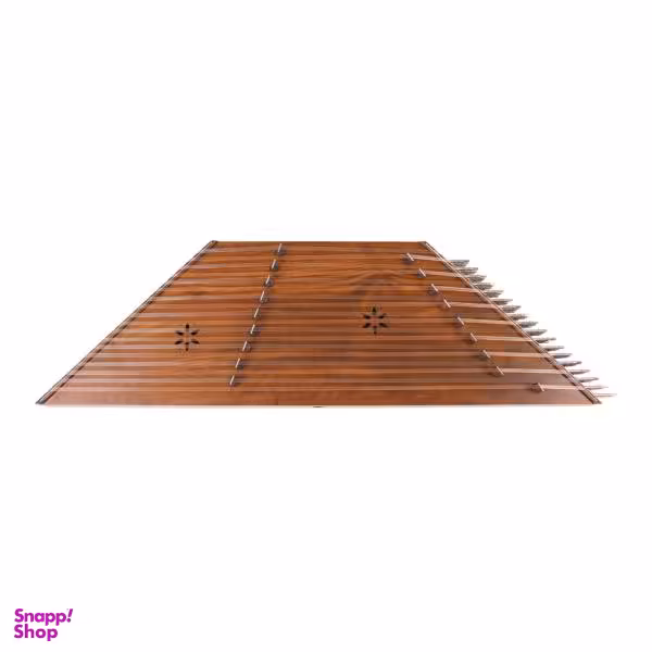 سنتور موسوی مدل اکونومی