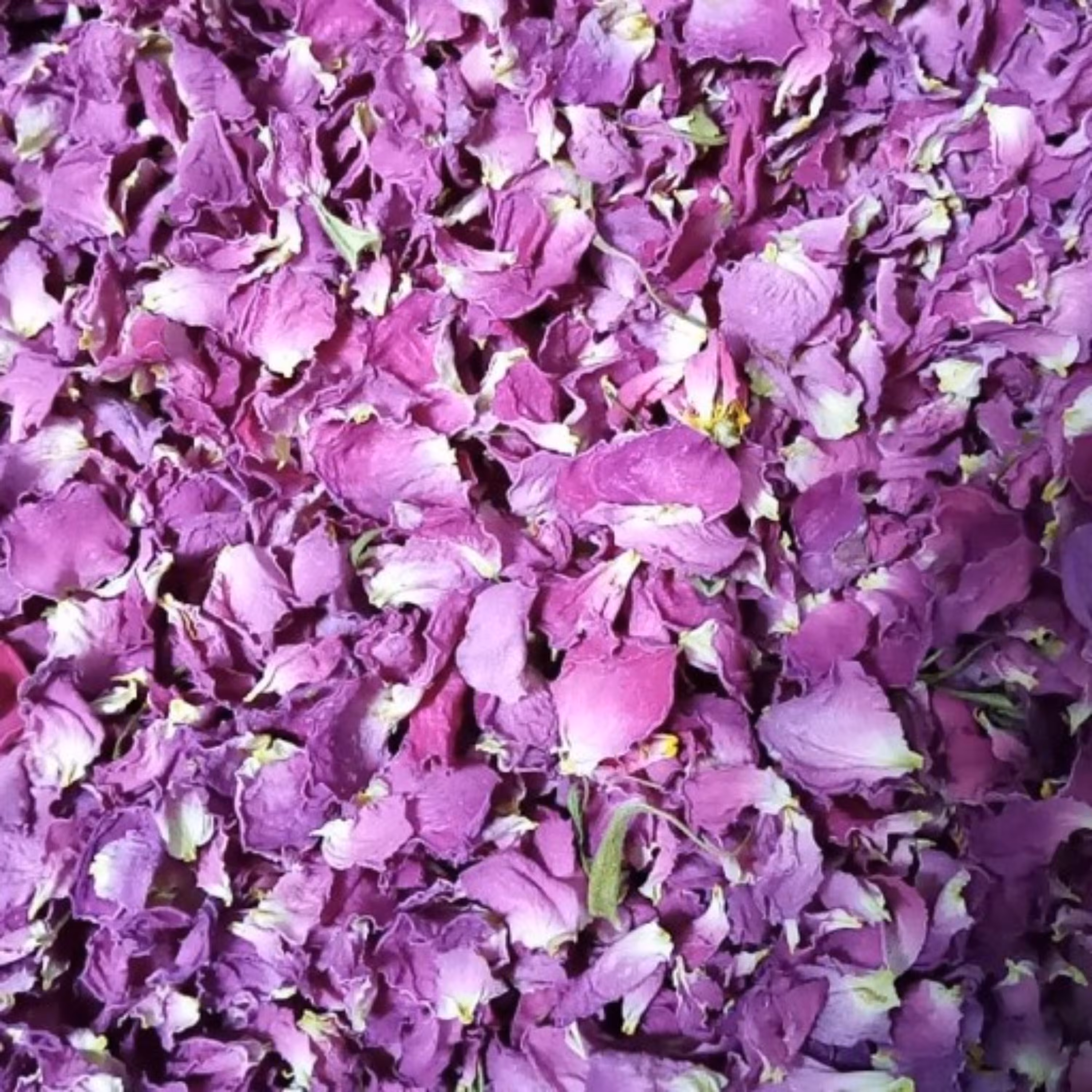 گل محمدی ( بسته 50 گرمی)