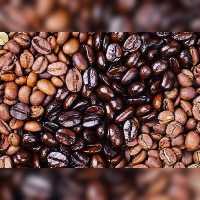 میکس قهوه 80درصد روبستا