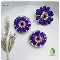 جاسویی رزین