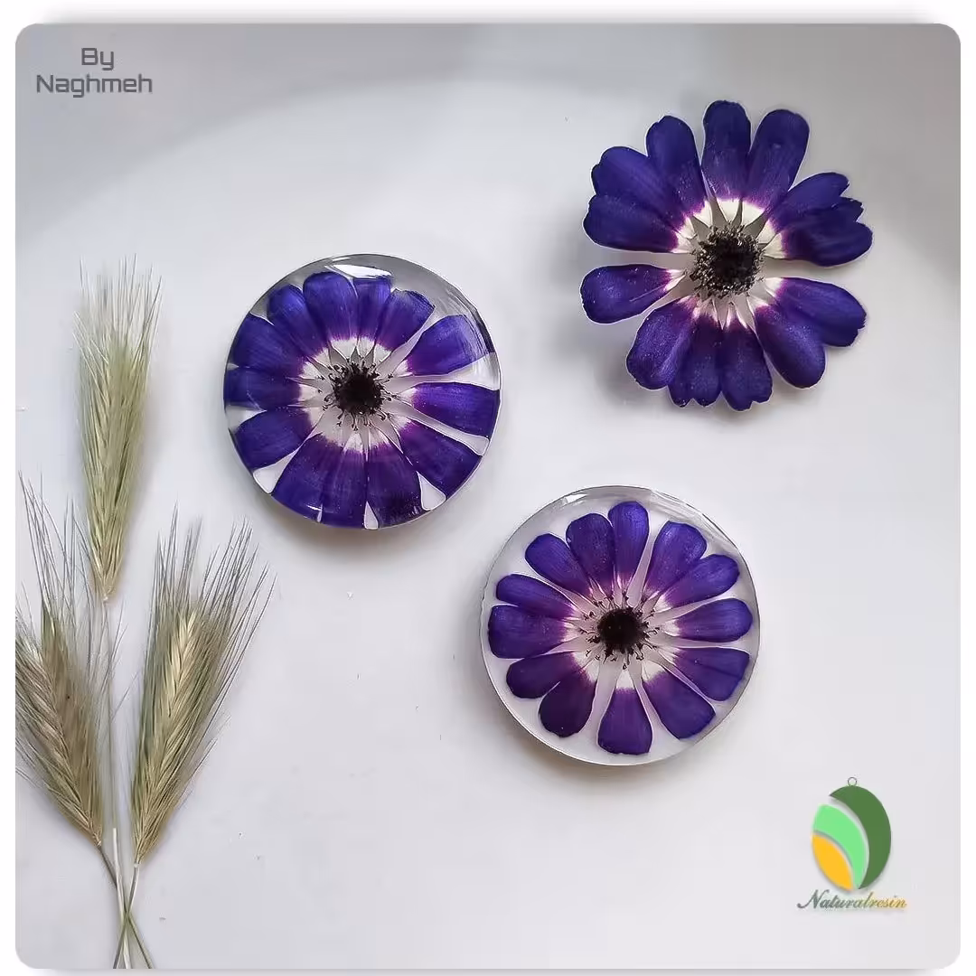 جاسویی رزین