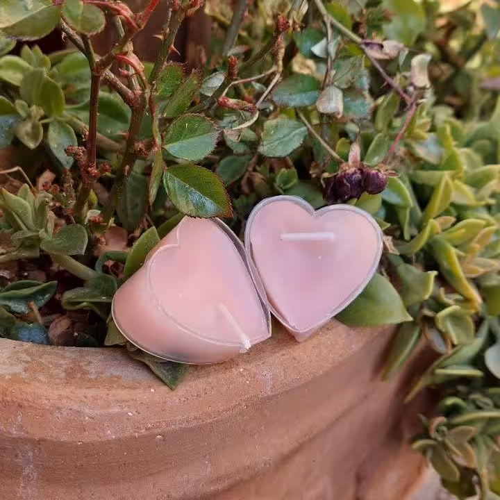 شمع قلبی خارجی مناسب برای گیفت