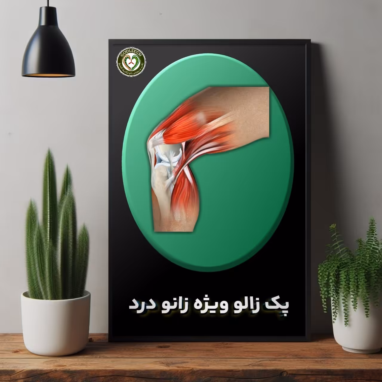 پک زالو ویژه -زانو درد- به همراه 14 روز مشاوره و آموزش رایگان زیر نظر متخصص طب سنتی