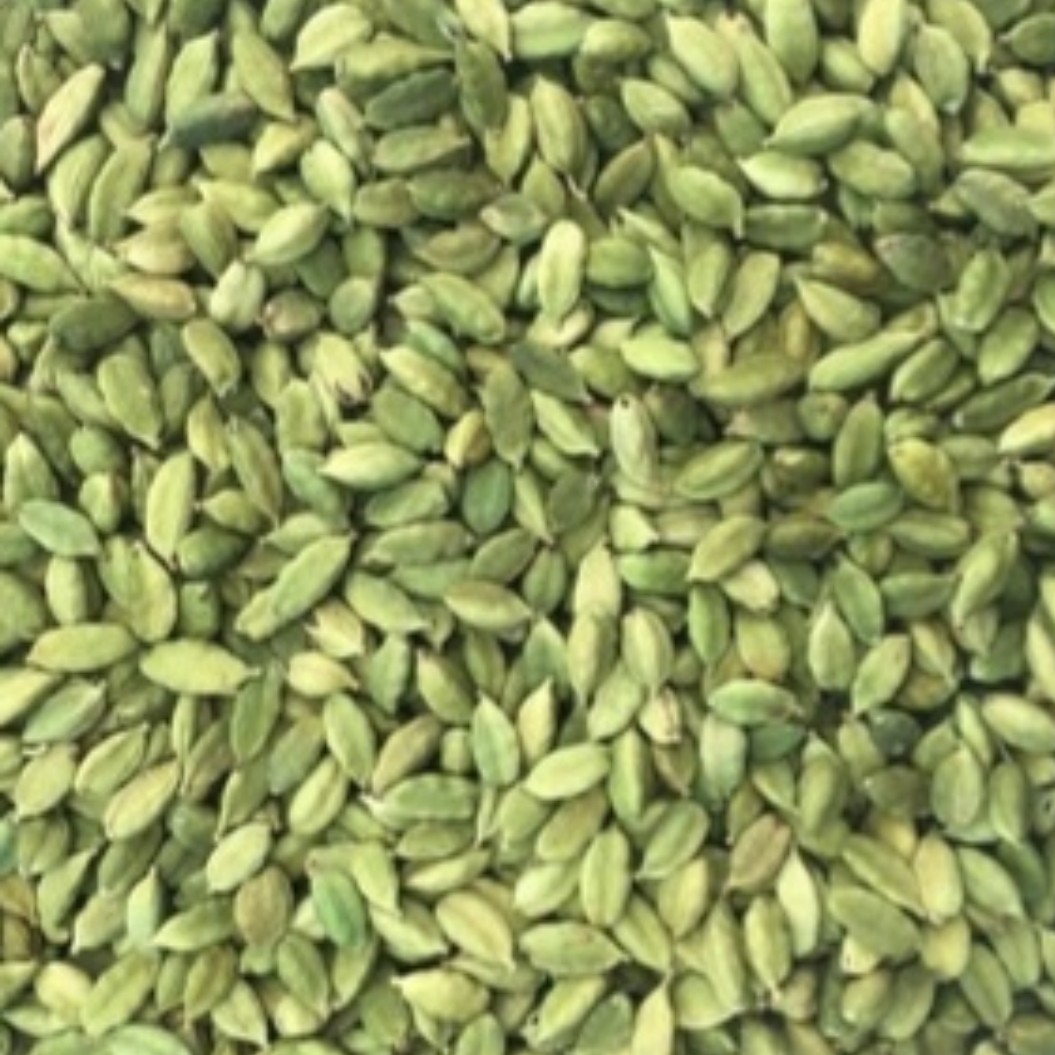 هل سبز درشت لوکس