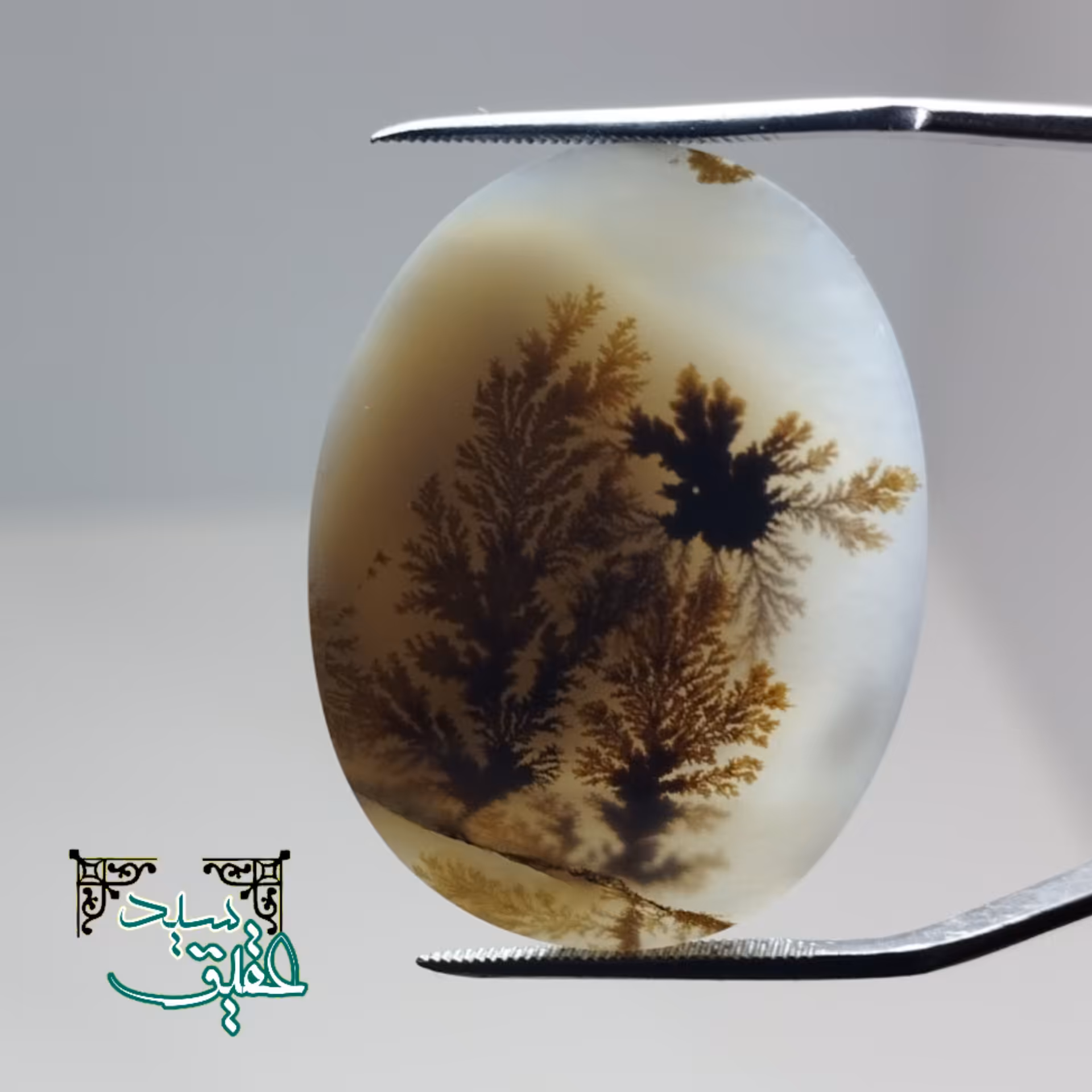 نگین عقیق شجر درشت و خوش گل