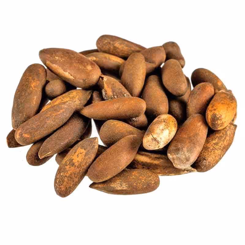 تخمه آجیلی چلغوز دانه صنوبر 500 گرم مستر عطار