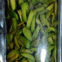 خلال پسته(100گرم)