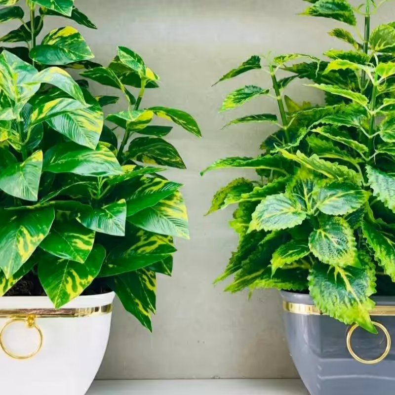 گل مصنوعی پتوس به همراه گلدان قدکارمدل استوانه حدود70سانت رومیزی بین 45 الی 50سانت کاملا مشابه طبیعی قابل شستشو