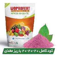 کود کامل 20-20-20 NPK با ریز مغذی وپروفرت هلند 1 کیلویی (تقویت عمومی و مواد ضرور