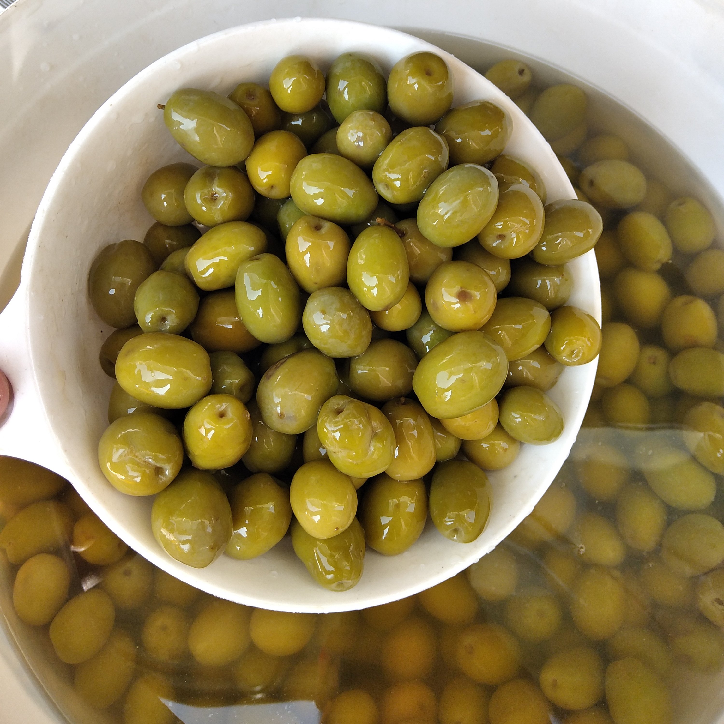 زیتون کنسروی.