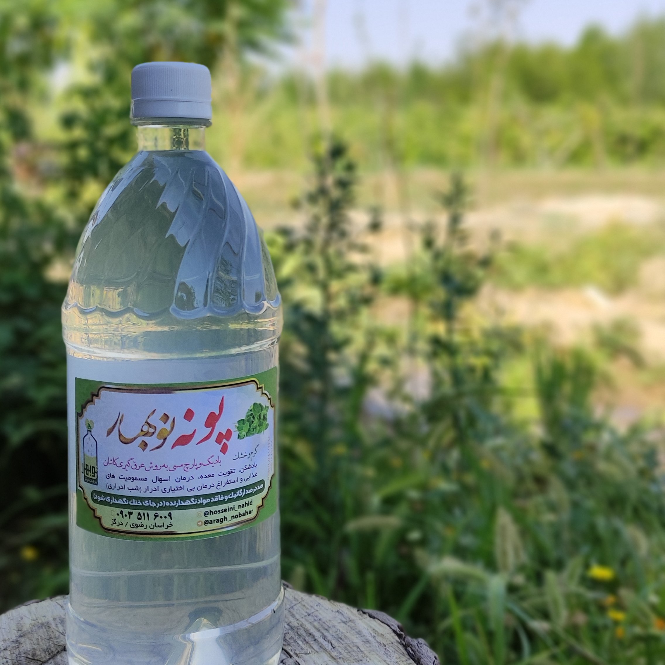 عرق پونه خانگی
