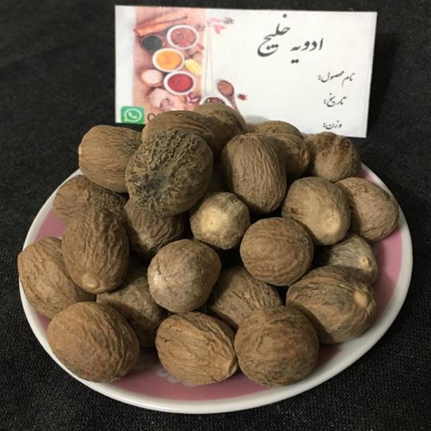 جوزهندی نساب اعلا بسیار درشت و خوش عطر با بهترین کیفیت و قیمت