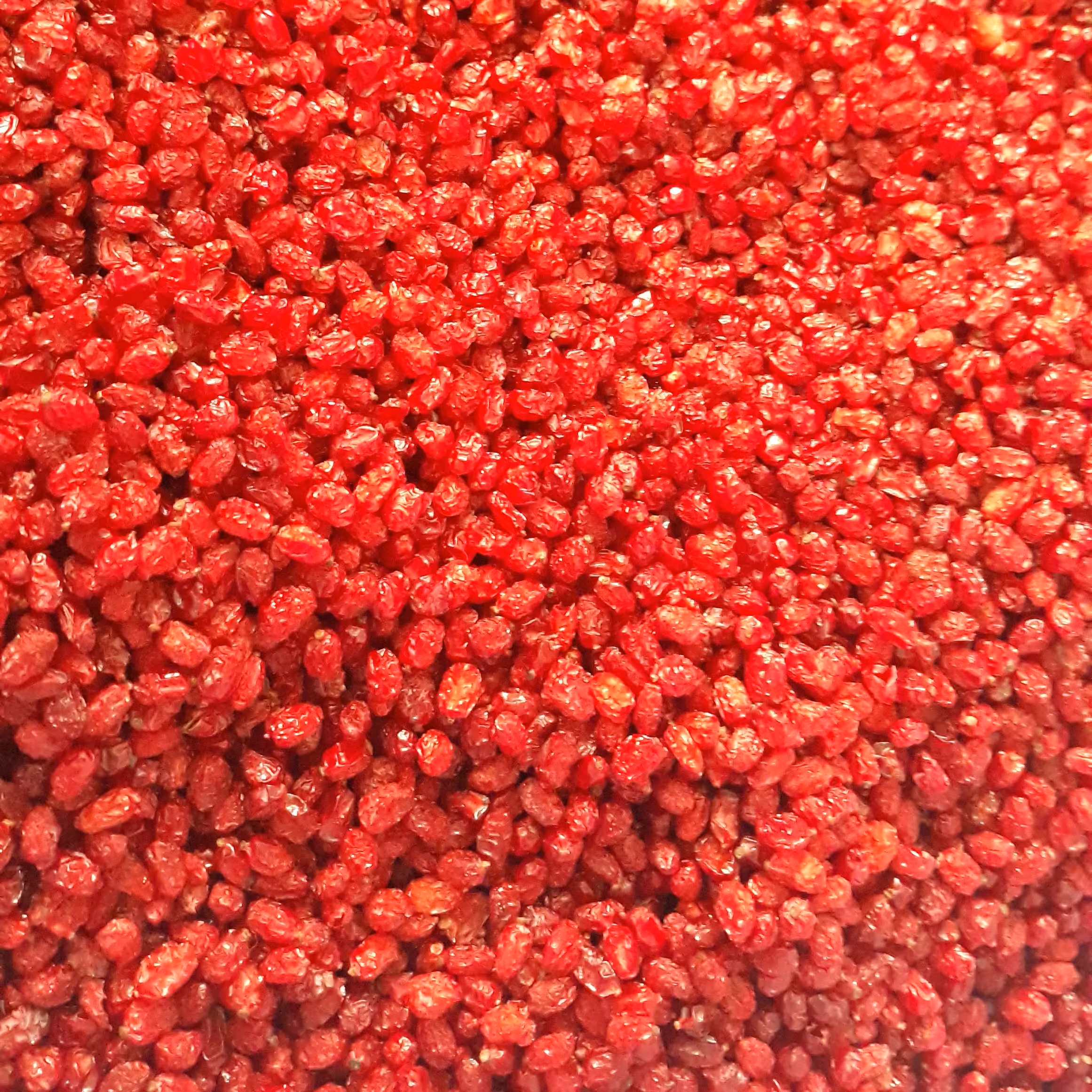 زرشک پفکی اعلا