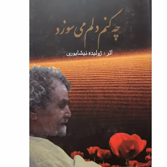 چه کنم دلم می سوزد ژولیده نیشابوری